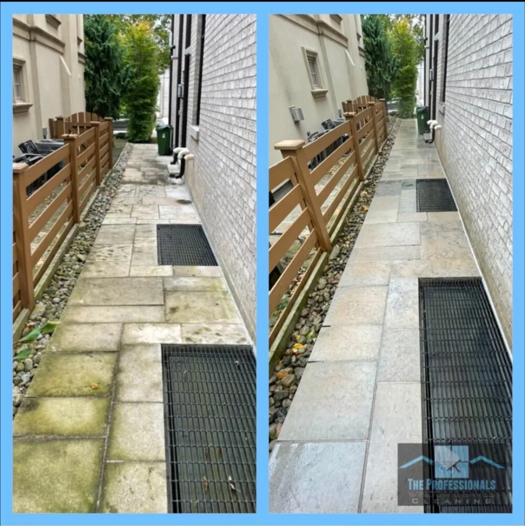 toronto eavestrough cleaning