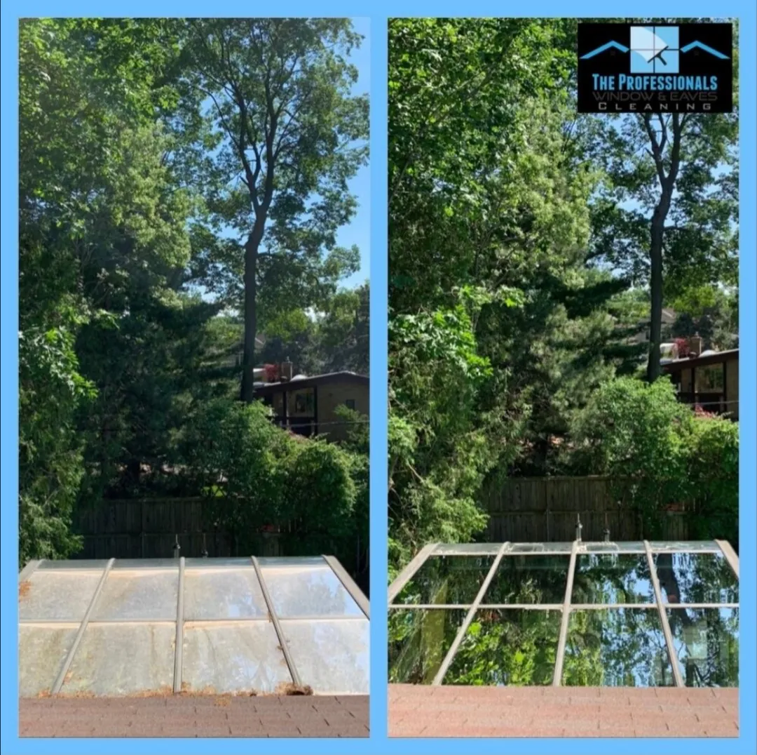 toronto eavestrough cleaning